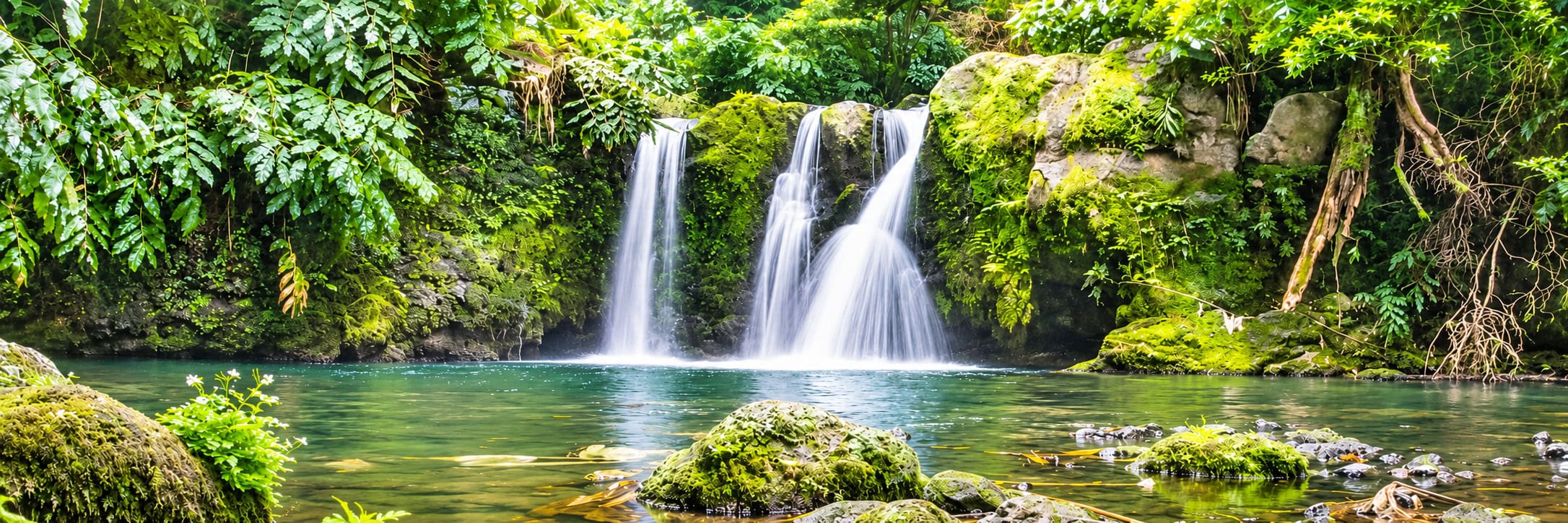 Waterfal - Sao Miguel, Azores