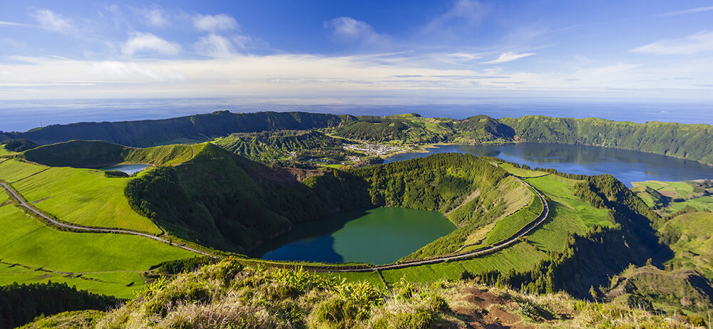 Canario - Sao Miguel, Azores